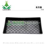 云农牌 5公分育苗长方盘 育苗容器 育苗托盘 芽菜盘