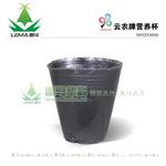 批发营养杯10x12X5000 育苗杯 营养钵