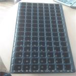 育苗穴盘 规格齐全