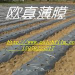 银黑地膜 双排圆孔透气 渗水地膜 1.2m