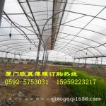 长寿防雾PE膜 大棚膜 生姜种植大棚用塑料薄膜