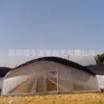 钢管大棚 温室大棚骨架 大棚配件 625型热镀锌管...
