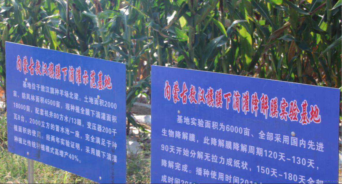 光、生物降解环保地膜