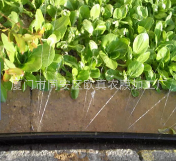 5分节水灌溉专用喷水管 200米长