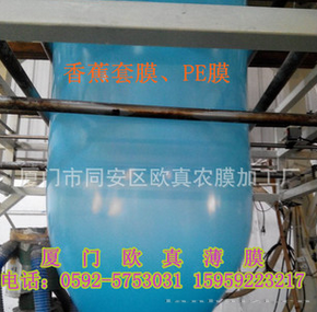 打孔香蕉保护膜 透气PE袋防蚊袋