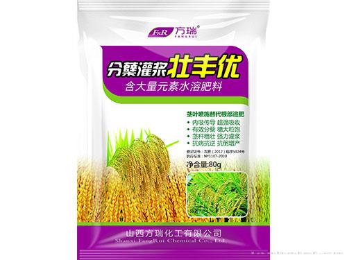 分蘖灌浆壮丰优80g