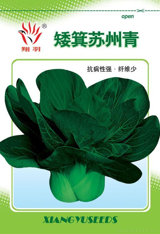 矮箕苏州青——叶菜类