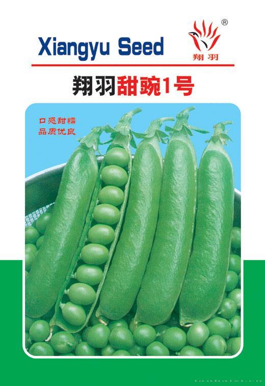 甜豌一号——豆类