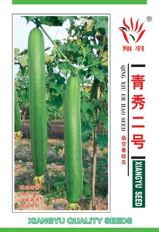 青秀二号——瓜类