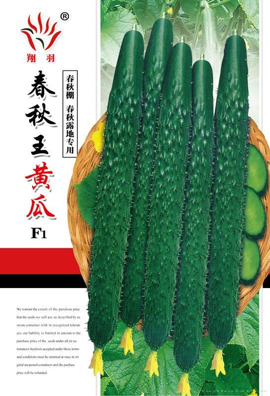 春秋王——瓜类