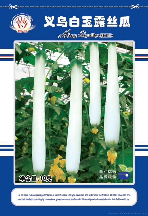 白玉露丝瓜——瓜类