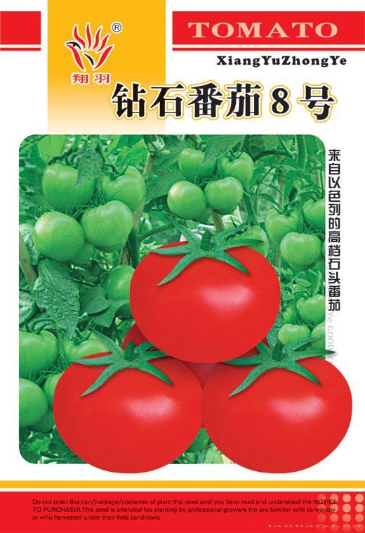 钻石番茄8号——茄果类