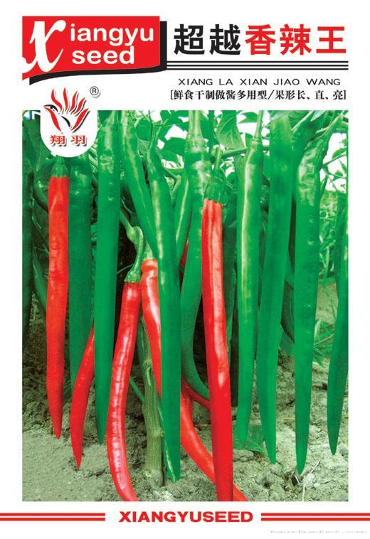 超越香辣王——茄果类