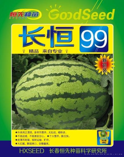 供应长恒99-西瓜种子