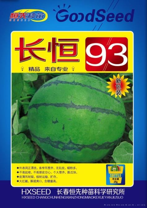 供应长恒93-西瓜种子