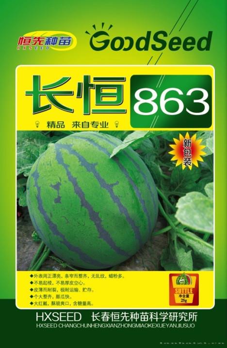 供应长恒863-西瓜种子