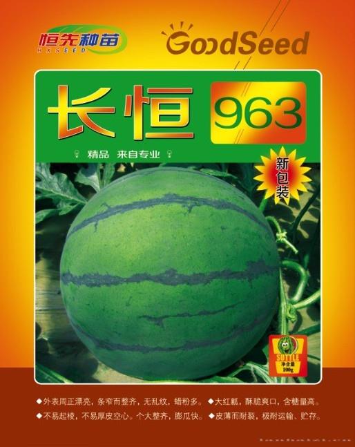 供应长恒963-西瓜种子