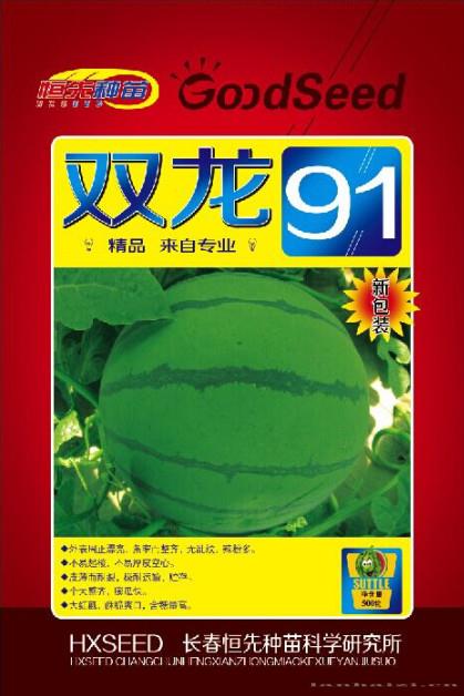 供应双龙91-西瓜种子