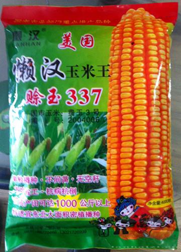 供应赊玉337—菜用玉米种子