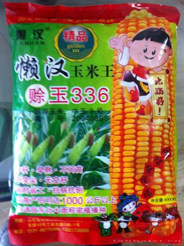 供应赊玉336—菜用玉米种子 