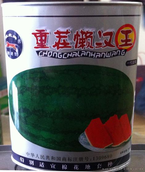  供应重茬懒汉王—西瓜种子