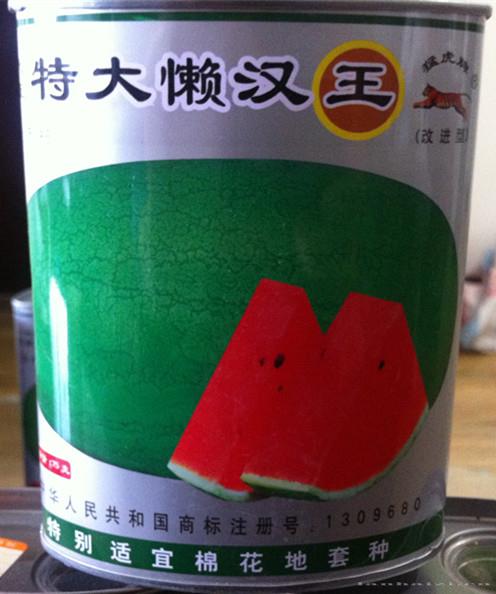  供应特大懒汉王—西瓜种子