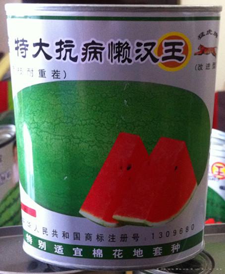 供应特大抗病懒汉王—西瓜种子 
