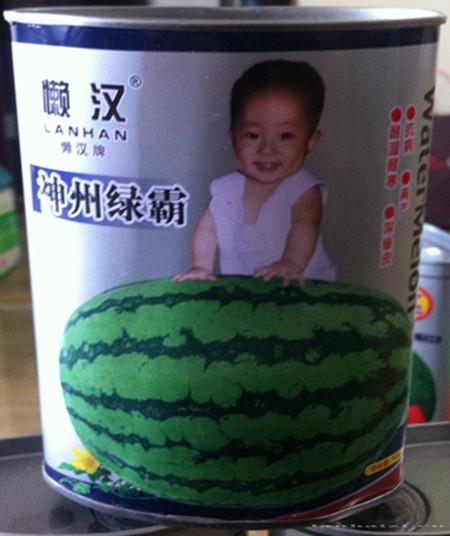 供应神州绿霸—西瓜种子 