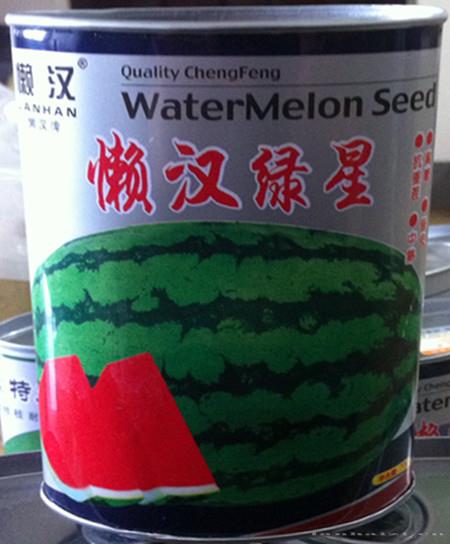 供应懒汉绿星—西瓜种子 