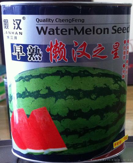 供应早熟懒汉之星—西瓜种子 