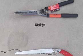 各种剪刀