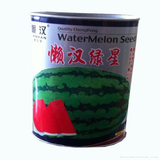供应懒汉绿星 