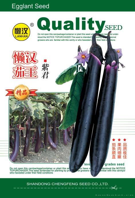 供应紫长茄——紫君 