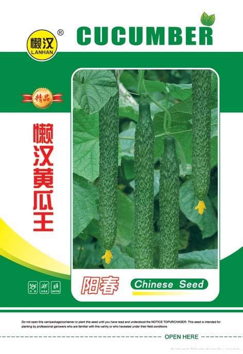 供应阳春—黄瓜种子