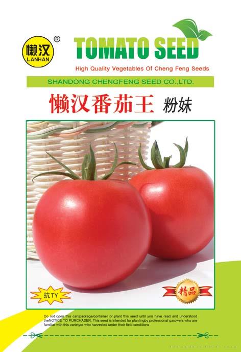 供应粉妹（抗TY1201）—番茄种子 