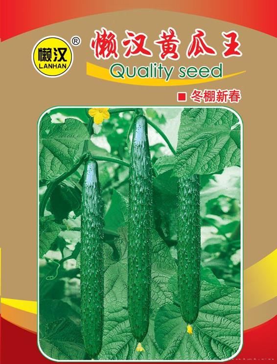 供应懒汉黄瓜王冬棚新春—黄瓜种子
