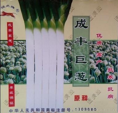 供应成丰巨葱—大葱种子 