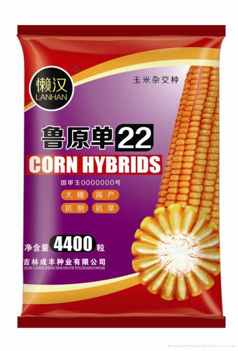鲁原单22—玉米种子 