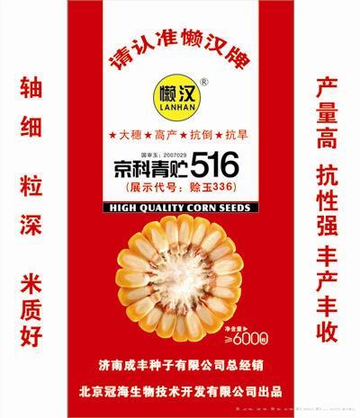 京科青贮516—玉米种子 
