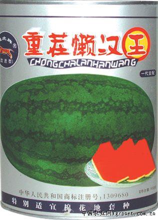 供应重茬懒汉王—西瓜种子 