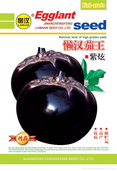 供应紫圆茄——紫炫 