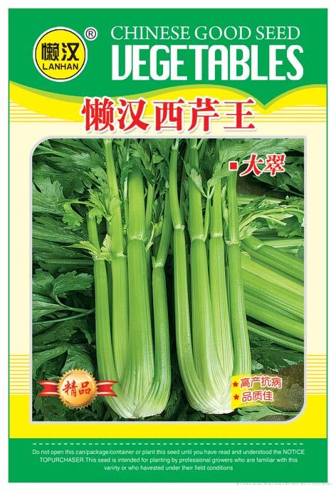 供应芹菜——大翠 