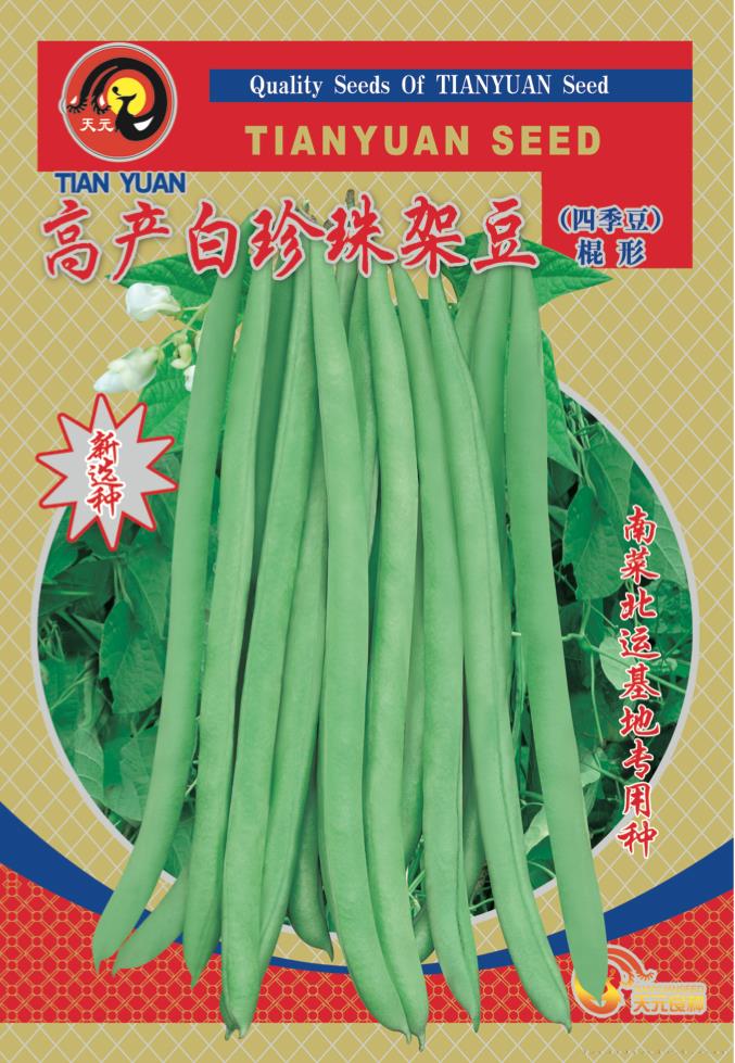 高产白珍珠架豆—菜豆种子