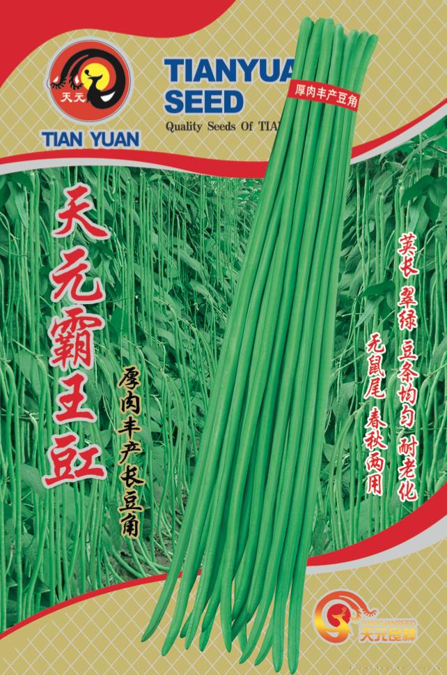 天元霸王豇豇豆种子