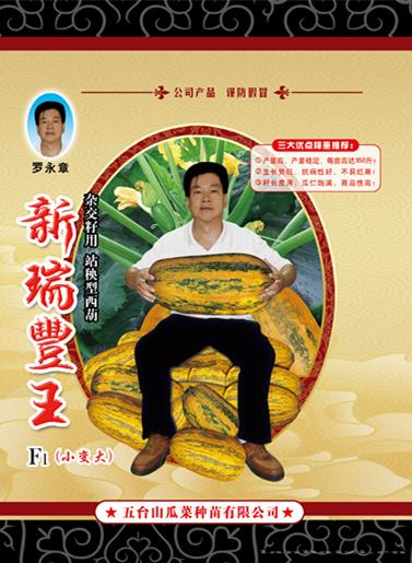 供应新瑞丰王（站秧型）西葫芦种子 