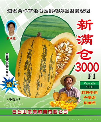 供应新满仓3000西葫芦种子 