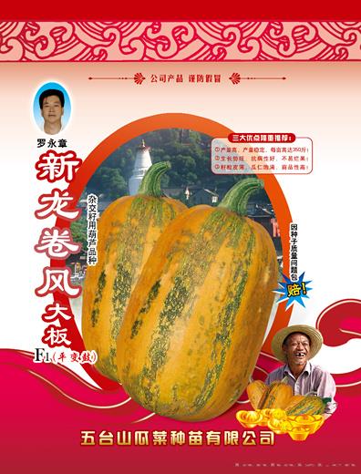 供应新龙卷风西葫芦种子 