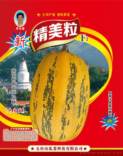 供应新精美粒西葫芦种子 