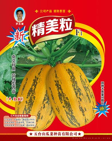 供应新精美粒（站秧型）西葫芦种子 