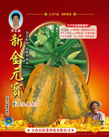 供应新金元宝（站秧型）西葫芦种子 